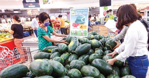 Ðề nghị xây dựng bộ giống cho các ngành hàng nông sản chủ lực