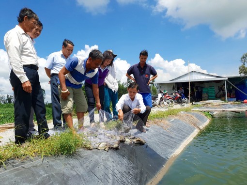 Giúp hội viên phát triển sản xuất