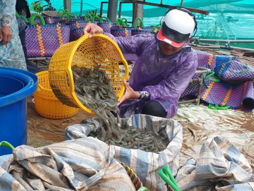 Nỗ lực vượt khó