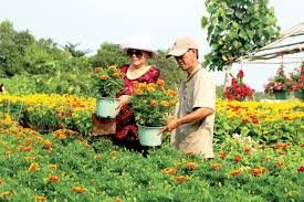 Đề nghị đánh giá hiệu quả mô hình thí điểm sản xuất nông nghiệp đô thị <br>(tiếp theo kỳ trước)