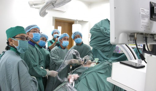 Tán sỏi nội soi qua da