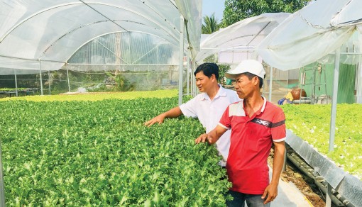 An Giang tích cực phát triển 

các cửa hàng nông sản an toàn