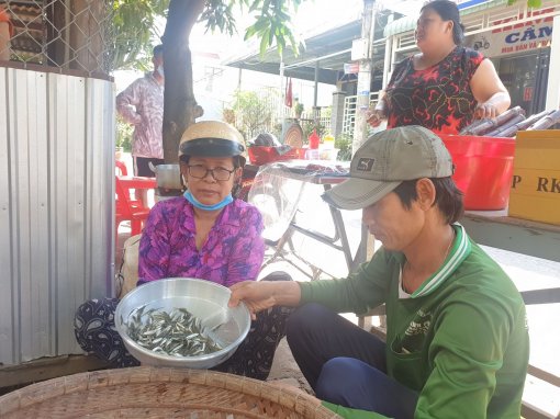 Mùa cá linh muộn