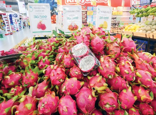 Để nhà vườn

không còn phải "bơi" theo giá trái cây?