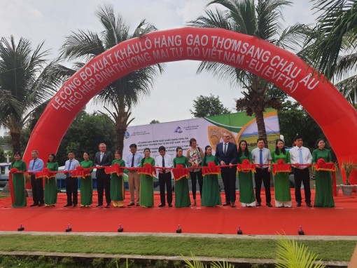 Xuất khẩu 126 tấn gạo thơm sang EU hưởng thuế ưu đãi từ EVFTA