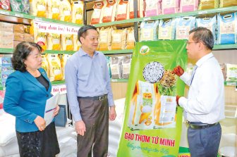 Trợ lực hàng Việt