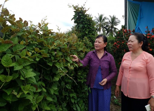 Cán bộ Hội hai giỏi