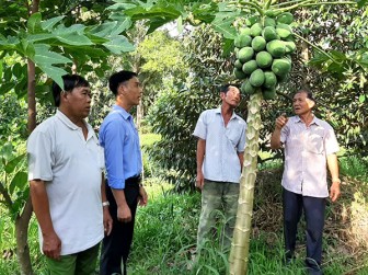 Làm những việc có lợi cho dân