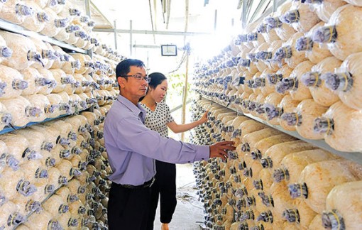 Tăng tốc hoàn thành các chỉ tiêu kinh tế - xã hội