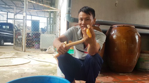 Người dân Cần Thơ bắt được lươn vàng quý hiếm