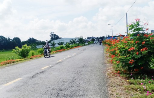 ឡុង​ហេបសម្រេច​គ្រប់​បទ​ដ្ឋាន​ជន​បទ​ថ្មី​