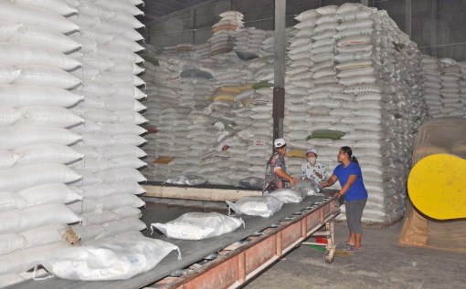 Nâng cao năng lực sản xuất,

tham gia vào chuỗi giá trị toàn cầu