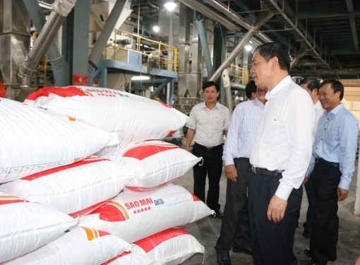 Sao Mai Super Feed giúp hộ nuôi cá tra hạ giá thành sản xuất