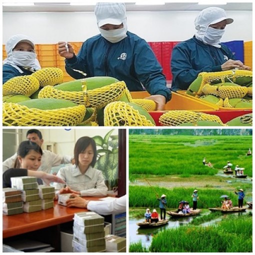 Nghị quyết phiên họp Chính phủ thường kỳ tháng 9/2020