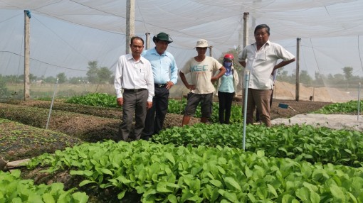 Quan tâm kiểm tra, xác nhận chất lượng cho sản phẩm nông nghiệp