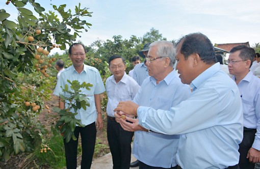 ប្រ​សិទ្ធ​ភាព​នៃ​គម្រោង​បង្វែរ​រចនា​សម្ព័ន្ធ​កសិកម្ម​