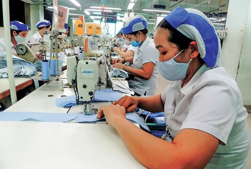 Doanh nghiệp Tây Ðô đổi mới, thích ứng và phát triển