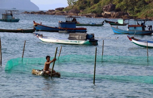 Bảo tồn biển Việt Nam: Giải pháp để phát triển bền vững kinh tế biển
