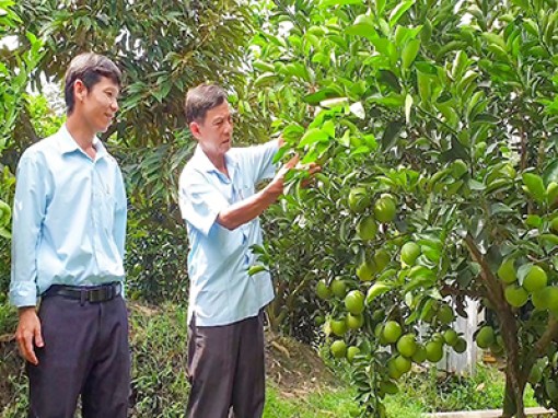 Hội luôn đồng hành cùng nông dân