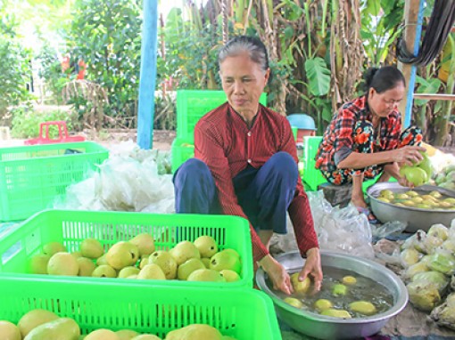 Vận động nhân dân phát triển các mô hình sản xuất