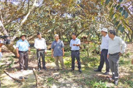 Nâng chất toàn diện đời sống

người dân nông thôn