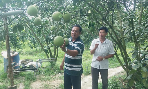 លោក​គឹម​តឺ ធ្វើ​សេដ្ឋ​កិច្ច​ពូកែ​