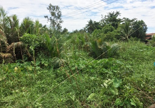 Dự án quy hoạch 17 năm chưa thực hiện