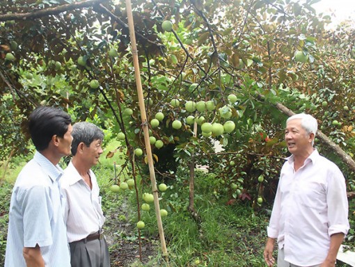 Nâng cao đời sống hội viên cựu chiến binh