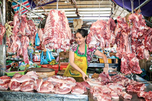 Nguồn cung dồi dào, giá giảm