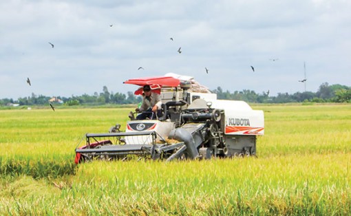 Nỗ lực hoàn thành tốt các chỉ tiêu phát triển