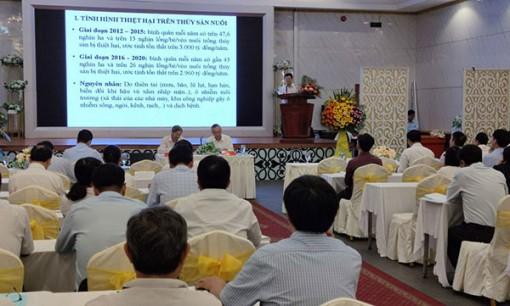 Ðến năm 2030, kinh tế thủy sản đóng góp hằng năm 30% GDP khối nông - lâm - ngư nghiệp