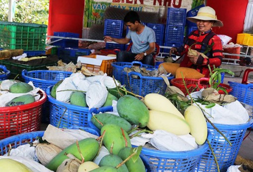 Cơ hội để đẩy mạnh hợp tác phát triển thương mại
