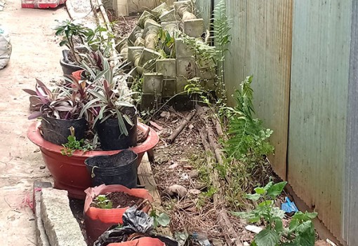 Quyền sử dụng đất và tình thâm...