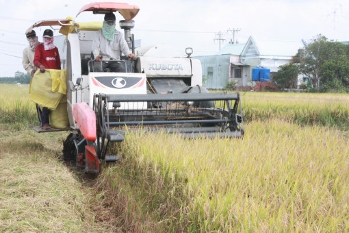 Kinh tế tập thể giúp nông dân xác định hướng phát triển phù hợp