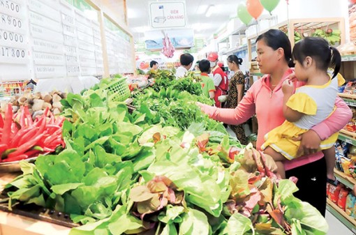 Thúc đẩy canh tác hữu cơ đáp ứng xu hướng tiêu dùng mới