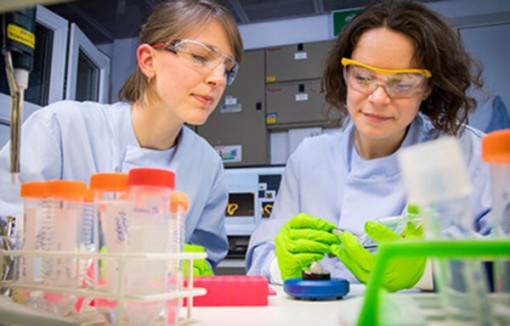 Phương pháp mới phát hiện nhanh vi khuẩn kháng thuốc kháng sinh