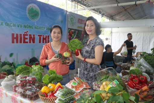 Kết nối sản xuất và tiêu thụ nông sản bền vững