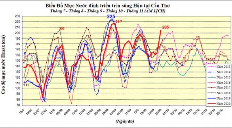 TP Cần Thơ: đỉnh triều đầu tháng 10 âm lịch là đợt triều cường lớn nhất trong năm