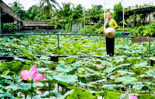 Du lịch Cần Thơ “An toàn và ấm áp”