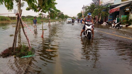 Triều cường đầu tháng 10 âm lịch lên cao từng ngày