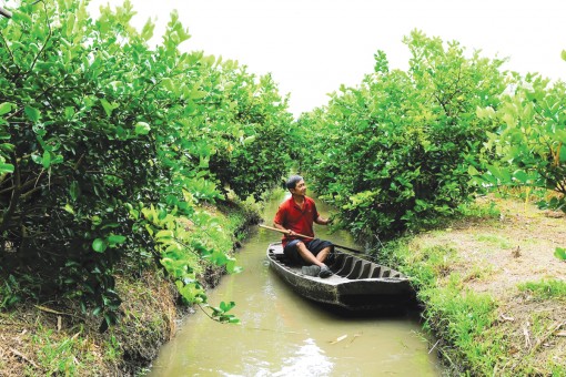 Củng cố, phát triển thủy lợi gắn với nâng chất nông thôn mới