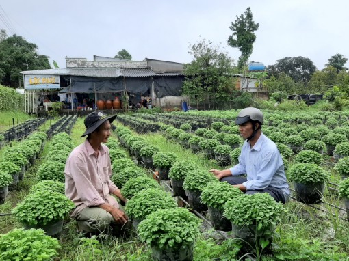 Sức sống mới ở khu dân cư