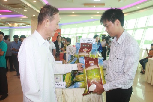 Tạo chuyển biến trong phát triển kinh tế tập thể