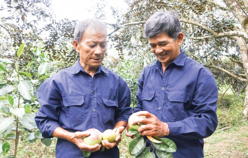 Tái cơ cấu, đổi mới

cách tiếp cận thị trường