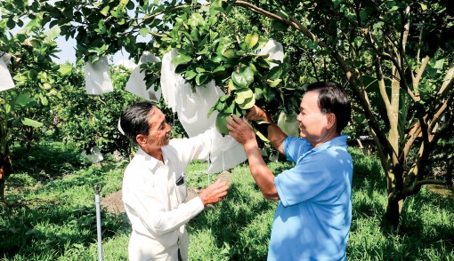 Ô Môn quyết tâm thực hiện

thắng lợi các mục tiêu tăng trưởng