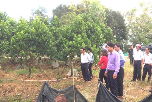 Bám sát mục tiêu cải thiện cuộc sống người dân nông thôn