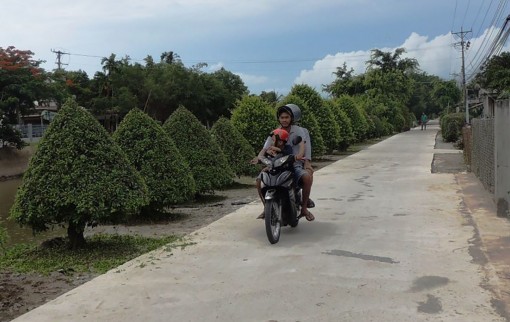 Cả nước đã có 12 đơn vị cấp tỉnh có 100% số xã được công nhận 
đạt chuẩn nông thôn mới