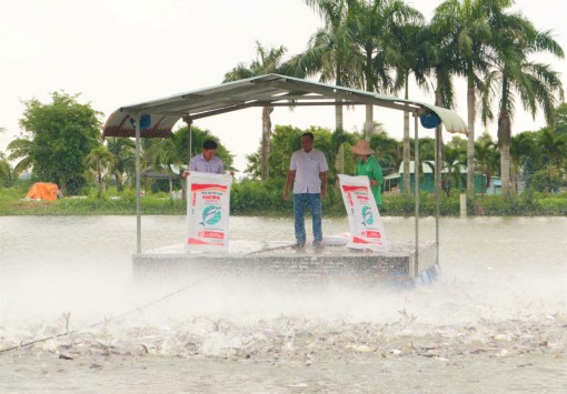 Trách nhiệm xã hội của doanh nghiệp