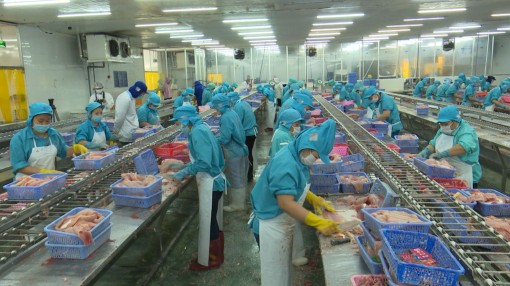 Điểm sáng trong bức tranh phát triển của Cần Thơ