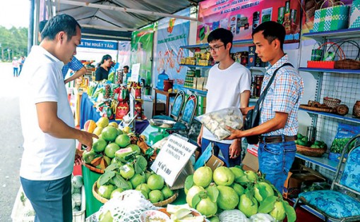 Nâng chất hoạt động cho khu vực kinh tế hợp tác
